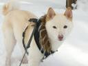 雪が好き。