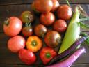 「新鮮野菜」