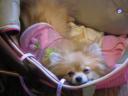 dscn6974.jpg