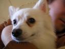 dscn7017.jpg