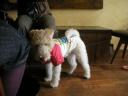 dscn7053.jpg