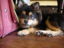 dscn7071.jpg