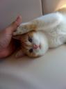 かわいいーーーーっ！！