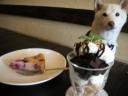 奥は「ベリーベリーチーズケーキ」