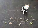 夫がやりました・・。