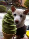 食べられた・・・。